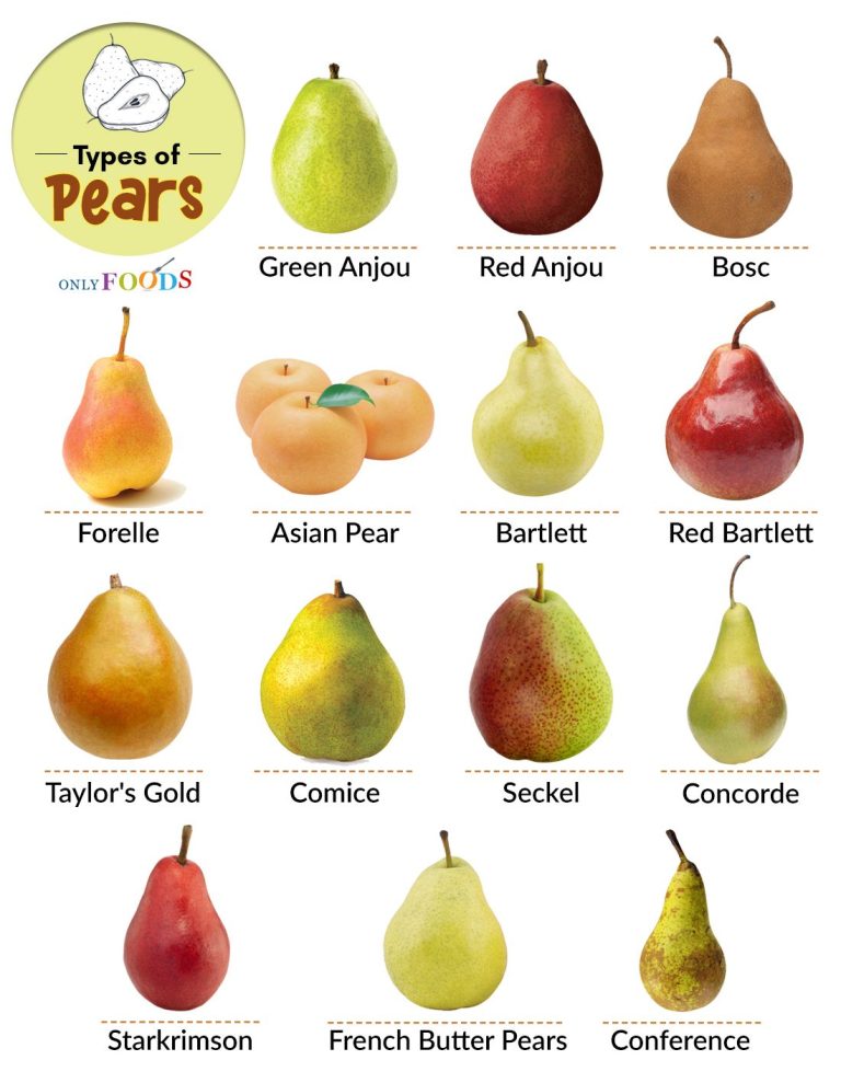 The Wonderful World of Pears: Types, Varieties, and Culinary Uses